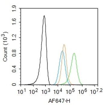 Phospho-MCSF Receptor (Tyr723) Rabbit Polyclonal Antibody
