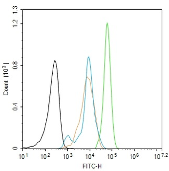 ID2 Rabbit Polyclonal Antibody