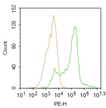 Histone H2A/H2A.1 Rabbit Polyclonal Antibody