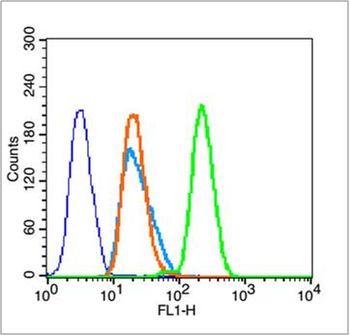 Histone H3 (Di Methyl K4) Rabbit Polyclonal Antibody