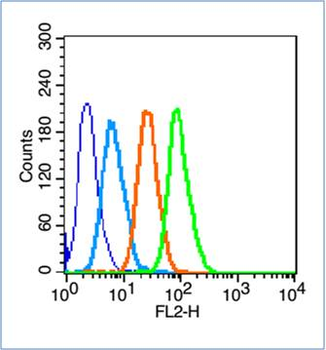 Histone H3 (Tri Methyl K27) Rabbit Polyclonal Antibody