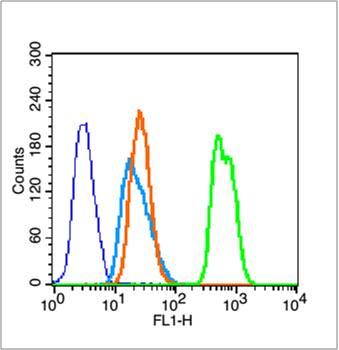 Histone H3 (Acetyl K23) Rabbit Polyclonal Antibody