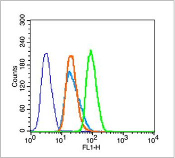 Histone H3 (Acetyl K18) Rabbit Polyclonal Antibody