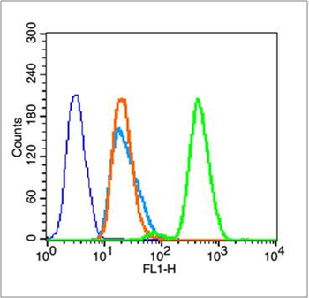 Phospho-Histone H3 (Thr3) Rabbit Polyclonal Antibody
