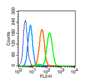 Phospho-IL-1R1 (Tyr496) Rabbit Polyclonal Antibody