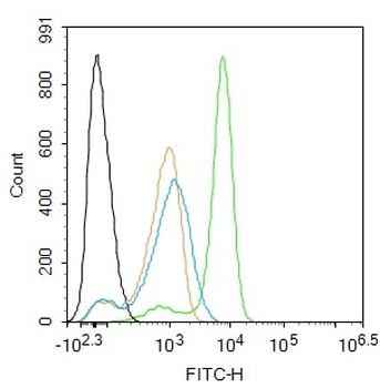 Phospho-ASK1 (Thr845) Rabbit Polyclonal Antibody