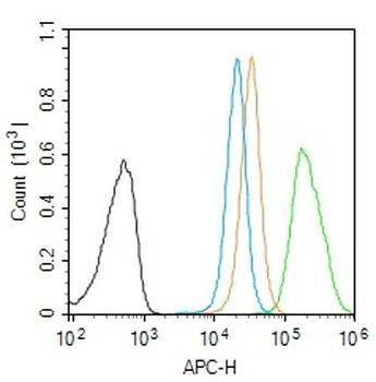 MDH1 Rabbit Polyclonal Antibody