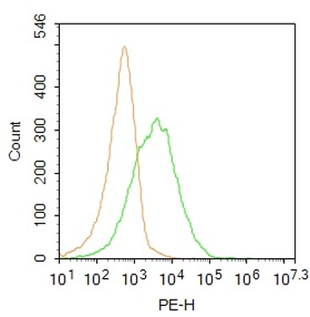 P2X2 Rabbit Polyclonal Antibody
