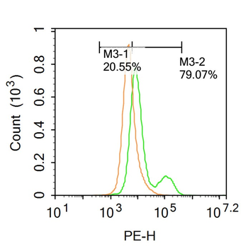 P2X3 Rabbit Polyclonal Antibody
