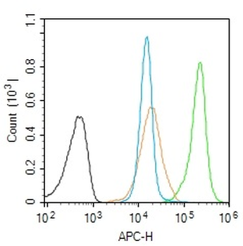 PABP Rabbit Polyclonal Antibody