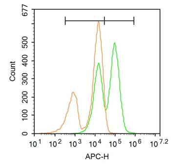 PP2CA Rabbit Polyclonal Antibody