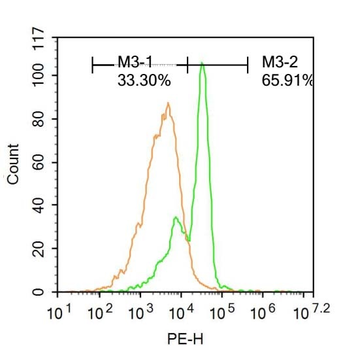 PSMB8 Rabbit Polyclonal Antibody