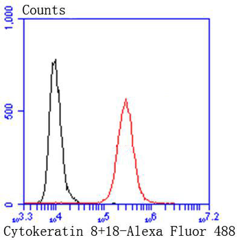Cytokeratin 8 Recombinant Rabbit Monoclonal Antibody