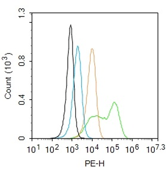 CNTNAP4 Rabbit Polyclonal Antibody