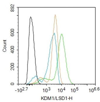 KDM1/LSD1 Rabbit Polyclonal Antibody