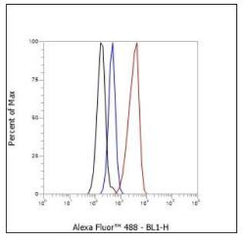 CD38 Recombinant Rabbit Monoclonal Antibody