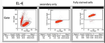 TAP2 Rabbit Polyclonal Antibody