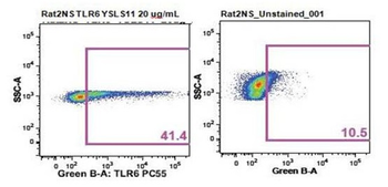 TLR6 Rabbit Polyclonal Antibody