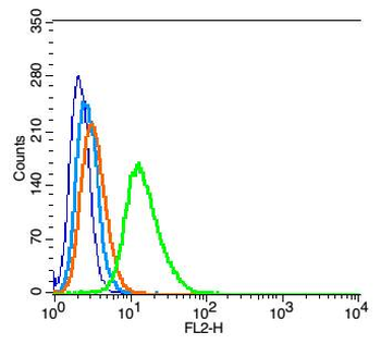TUBA1C Rabbit Polyclonal Antibody