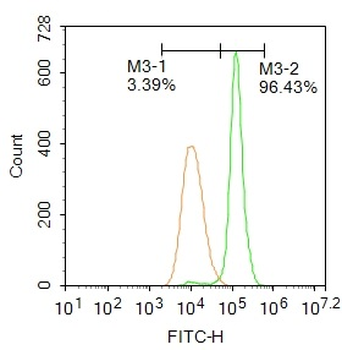 ADAM17 Rabbit Polyclonal Antibody (FITC)