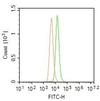 SGPL1 Rabbit Polyclonal Antibody (FITC)