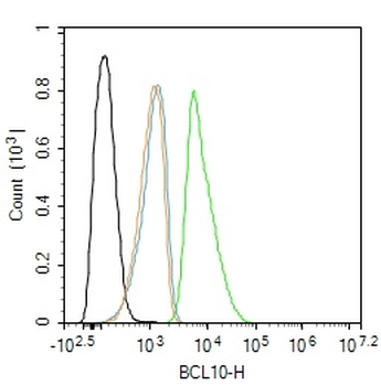 BCL10 Mouse Monoclonal Antibody