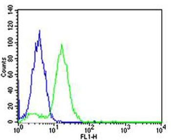 BCL10 Mouse Monoclonal Antibody