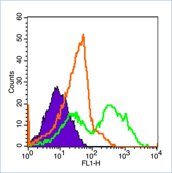 ID1 Rabbit Polyclonal Antibody (FITC)