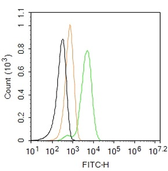 CK18 Rabbit Polyclonal Antibody (FITC)