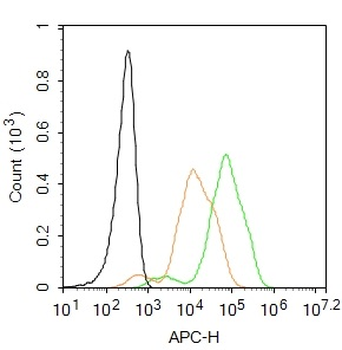 GPR49 Rabbit Polyclonal Antibody (PE-Cy5)