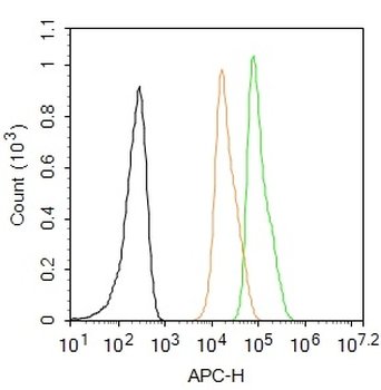 PPAR gamma Rabbit Polyclonal Antibody (Cy5)