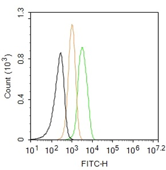 Leptin receptor Rabbit Polyclonal Antibody (FITC)