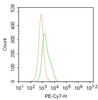 Alpha smooth muscle Actin Rabbit Polyclonal Antibody (PE-Cy7)