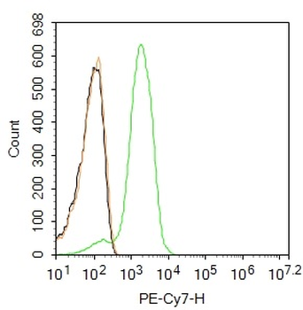 TLR4 Rabbit Polyclonal Antibody (PE-Cy7)