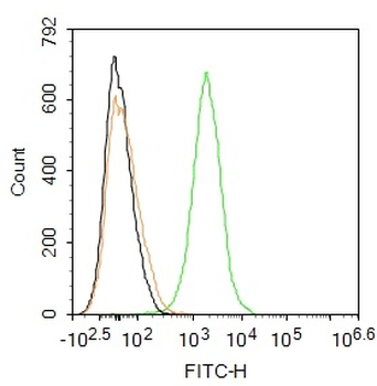 S100-A8 / MRP8 Rabbit Polyclonal Antibody (FITC)