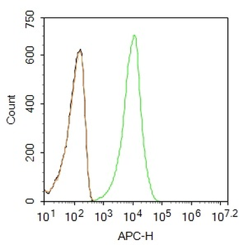 CD4 Rabbit Polyclonal Antibody (APC)
