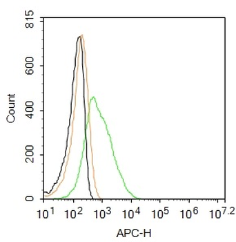 CD163 Rabbit Polyclonal Antibody (APC)