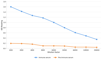 DLG4 Antibody