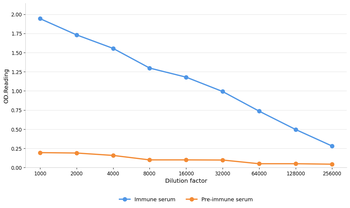 IL5 Antibody