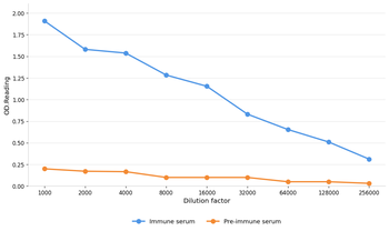 TIE1 Antibody