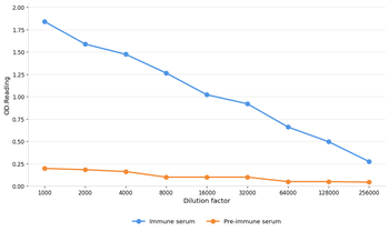SNRPA1 Antibody