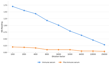 CHI3L1 Antibody