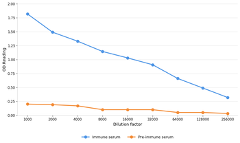 PRAME Antibody