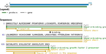 Mouse Fibroblast Growth Factor-basic protein
