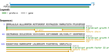 Human Fibroblast Growth Factor-22 protein