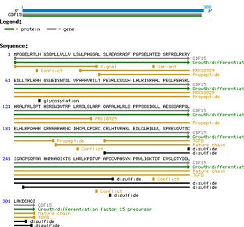 Human Heregulin-beta2 protein