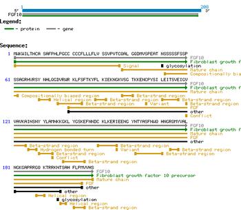 Human Keratinocye Growth Factor-2 protein