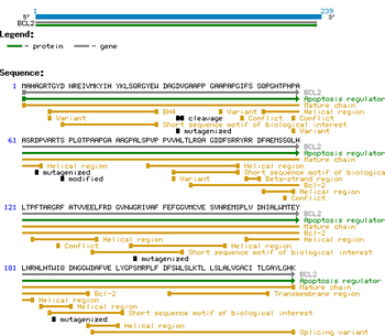 BCL2 protein