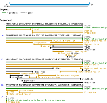 Human Platelet Derived Growth Factor-B protein