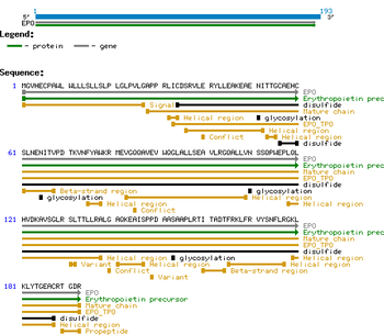 Human EPO-alpha protein